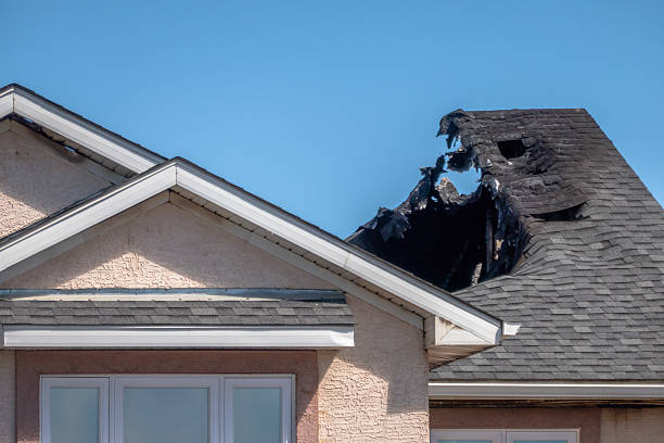 Top rated local Odor Removal specialists in Somerset, MD
